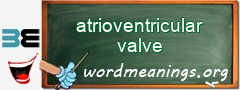 WordMeaning blackboard for atrioventricular valve